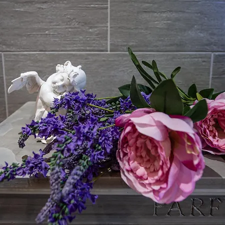 L'eclat, Mediterraneen - Hypercentre, Rue Pietonne