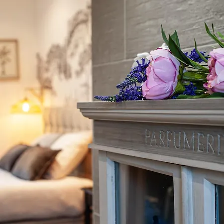 L'eclat, Mediterraneen - Hypercentre, Rue Pietonne *