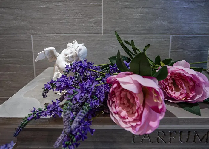 L'éclat, Méditerranéen - Hypercentre, Rue Piétonne