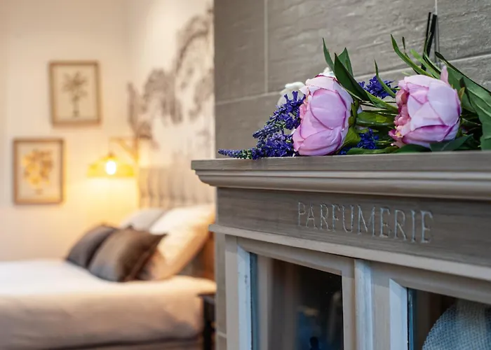 L'eclat, Mediterraneen - Hypercentre, Rue Pietonne *